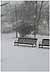 Snowy Benches