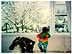 Boy Sees Snow