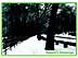 Central Park Path